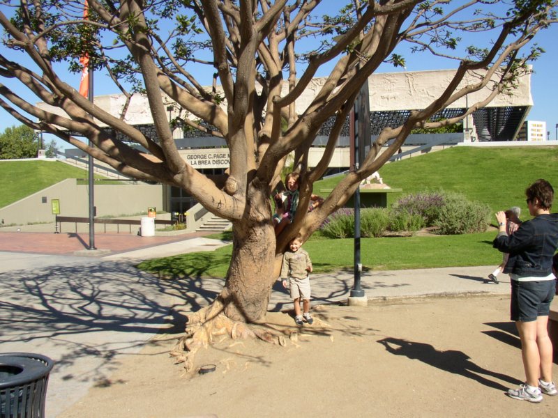 pa080014.jpg